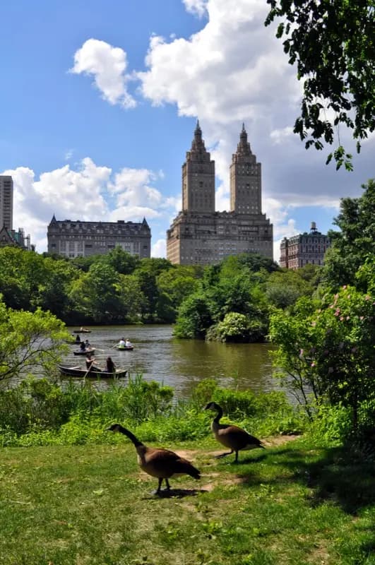 Central Park s dátovým plánom HelloRoam eSIM pre pripojenie cestovateľov