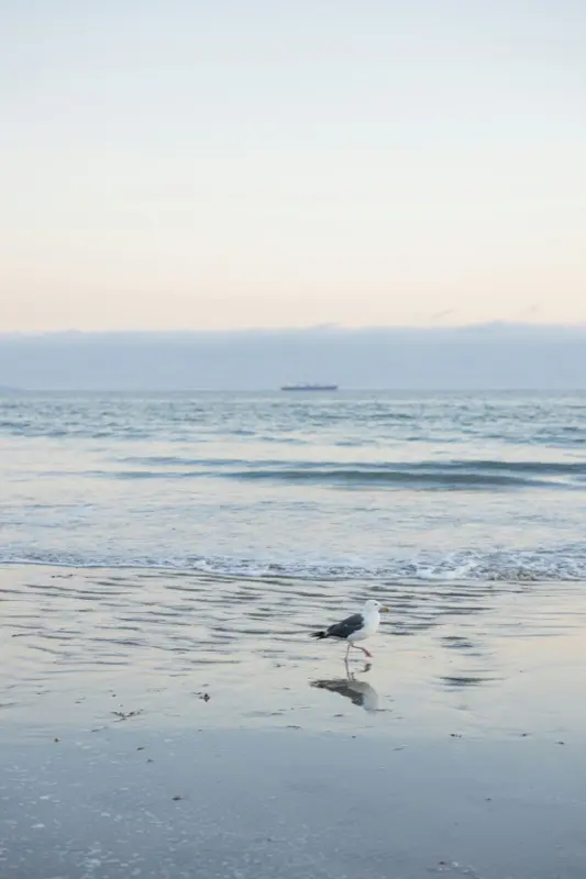 Coronado Beach con HelloRoam eSIM per restare connessi durante il viaggio