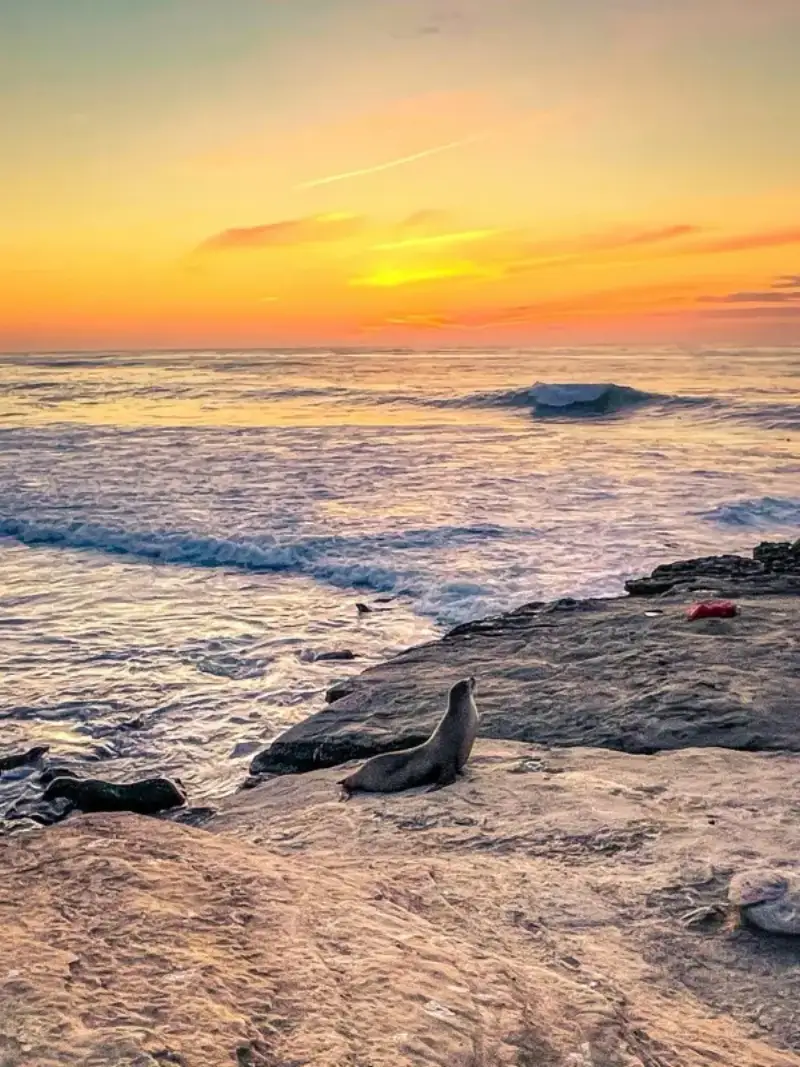 La Jolla Cove con connettività HelloRoam eSIM per viaggiatori di tutto il mondo