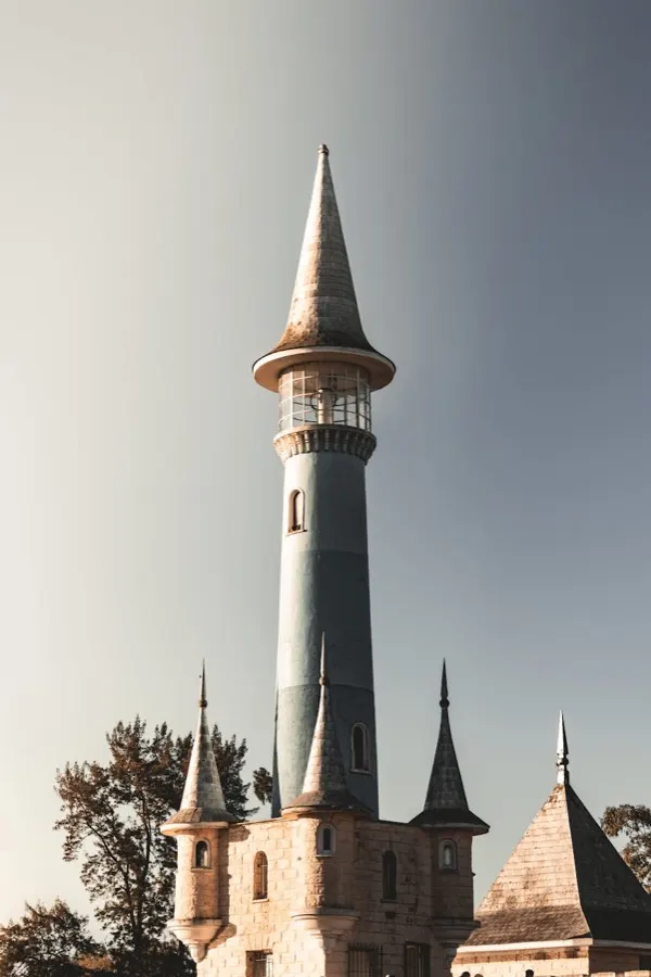 Neogotische kathedraal van La Plata omgeven door brede lanen en groen