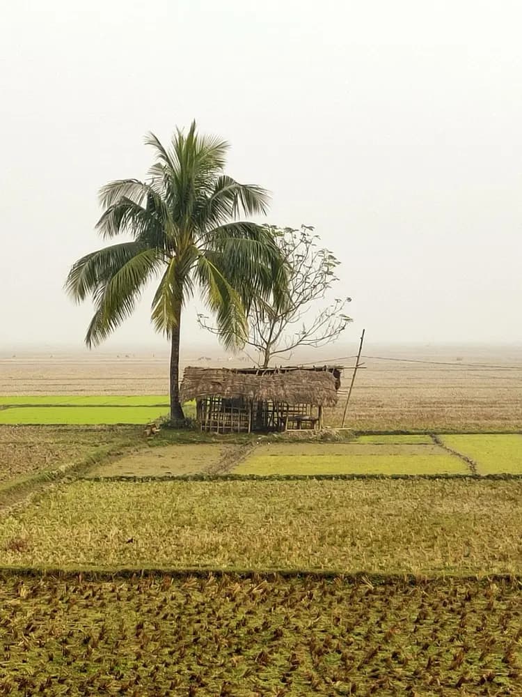 Naogaon Bangladesh med HelloRoam eSIM mobildata for rejsende