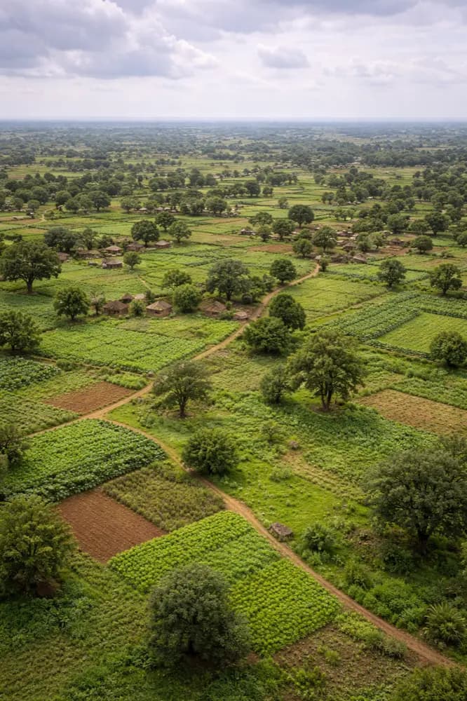 HelloRoam bietet eSIM mit schnellen Daten in Province Du Houet für Burkina Faso-Reise