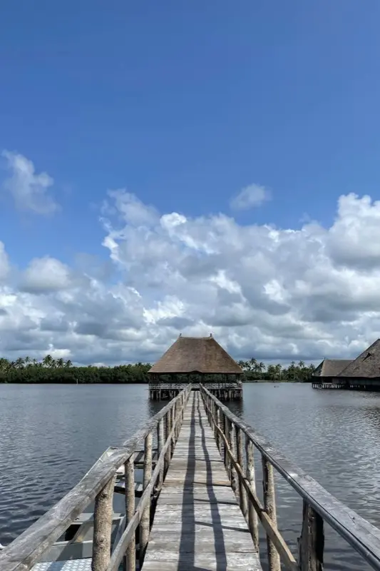 Benin — mobile connectivity coverage