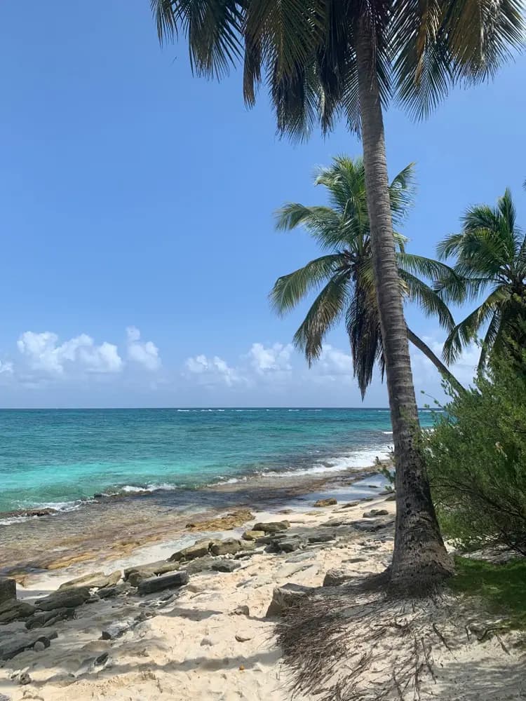 Stay connected in West End Bahamas with a HelloRoam eSIM data plan for travelers