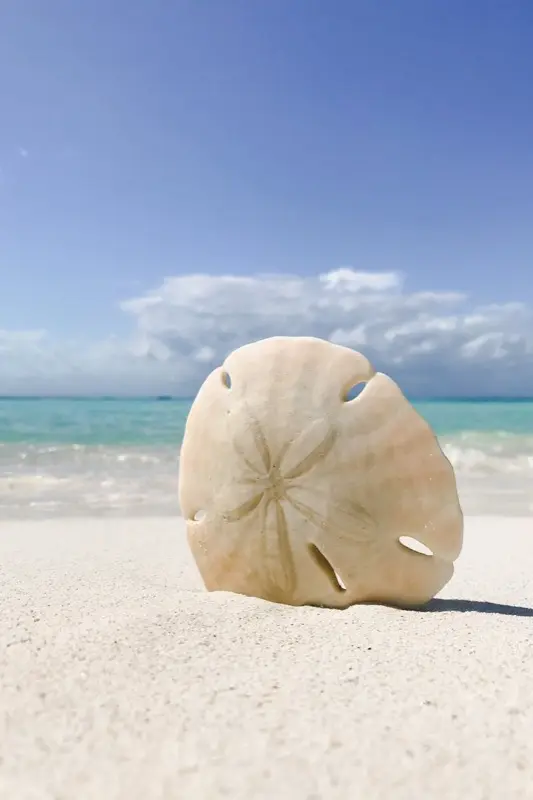 Belize — best time to visit