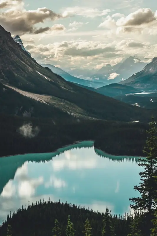 温哥华 — mobile connectivity coverage