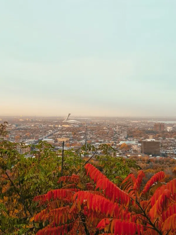 Mount Royal View in Montreal Canada with HelloRoam eSIM data plan connectivity while traveling