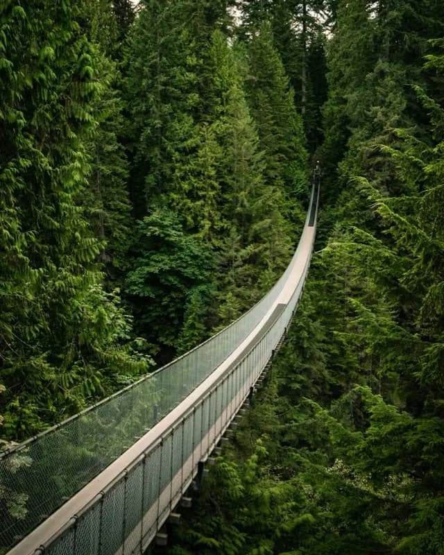 Capilano Suspension Bridge עם חיבור HelloRoam eSIM למטיילים ברחבי העולם