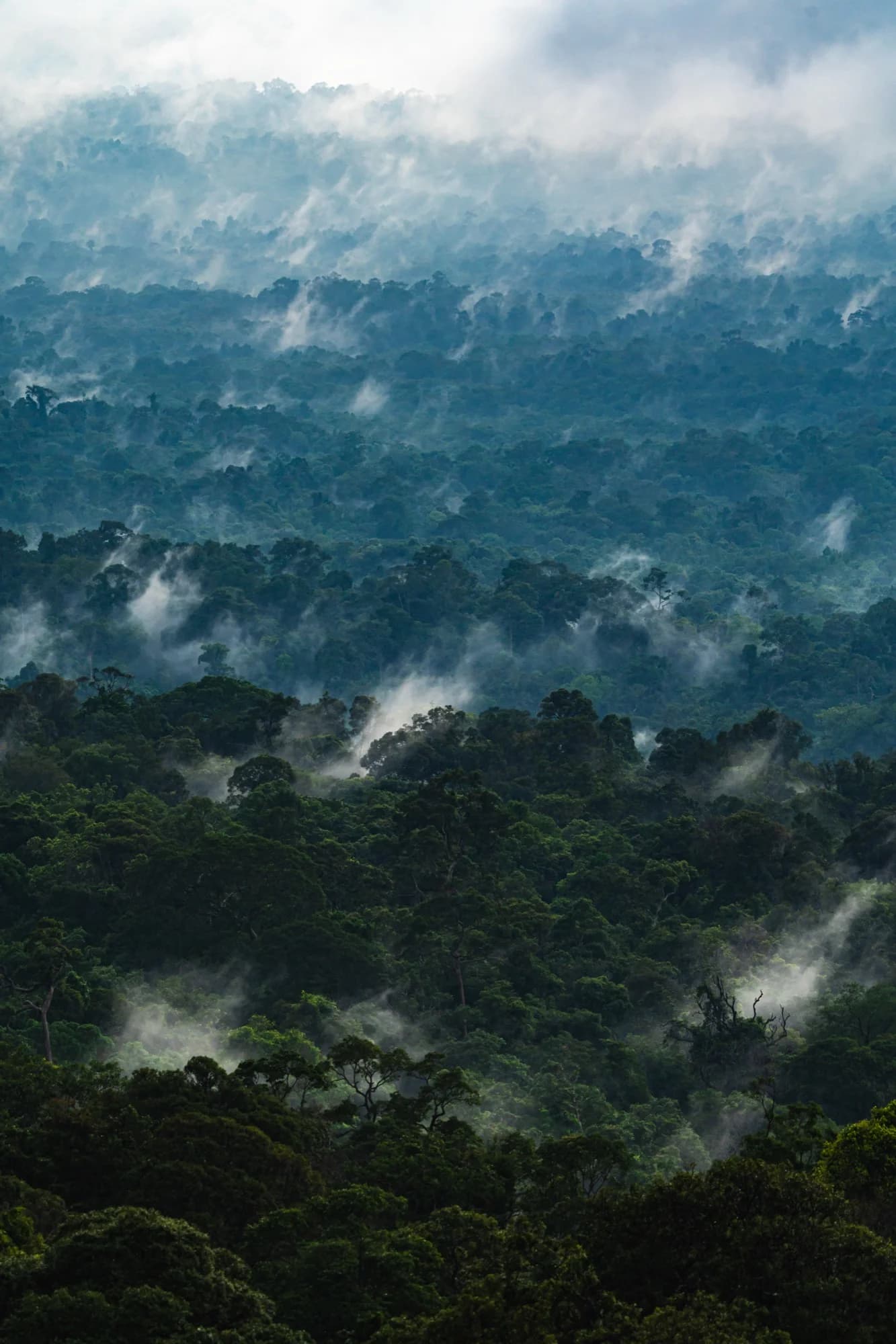 Plano eSIM Congo-Brazzaville com rede Airtel 4G - dados para viagem internacional a partir de $15.18/dia - sem tarifas de roaming