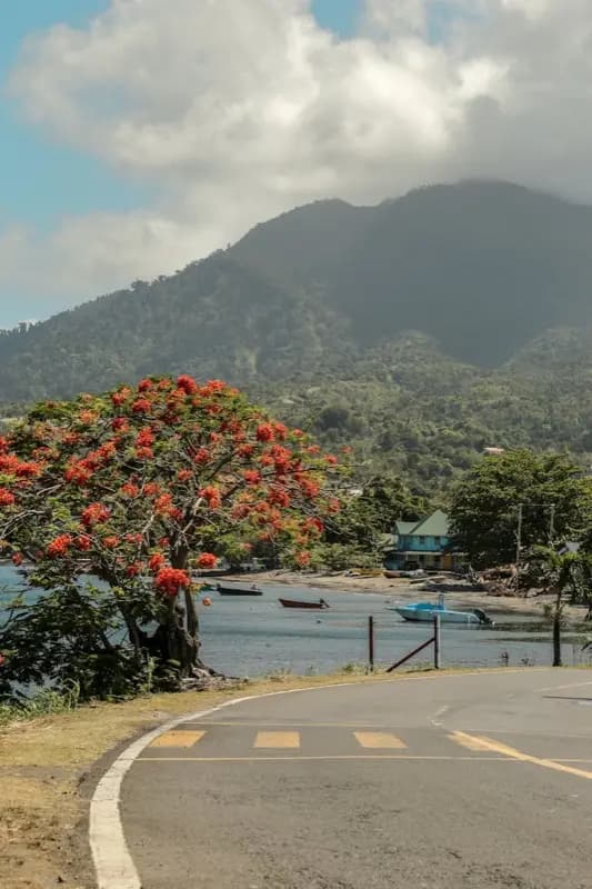 Dominika — mobile connectivity coverage