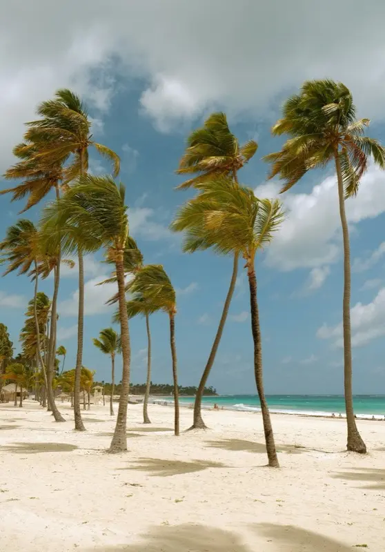 Punta Cana — mobile connectivity coverage