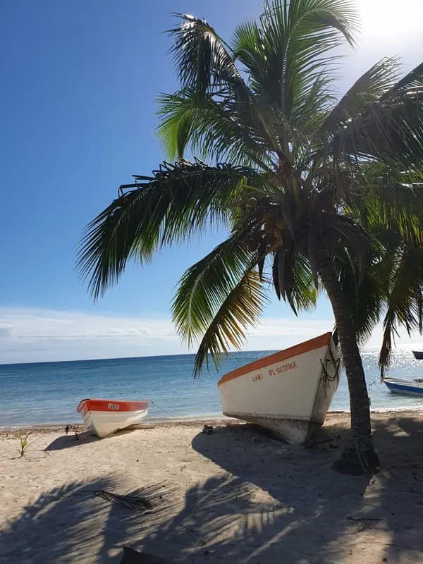 Dominicaanse Republiek — best time to visit