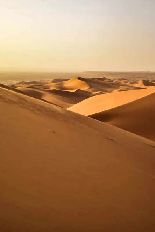 Algerije — mobile connectivity coverage
