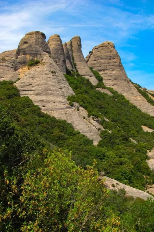 Ibiza — mobile connectivity coverage