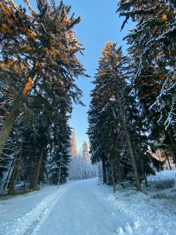 HelloRoam eSIM podatkovni načrt za Espoo, Finska za popotnike