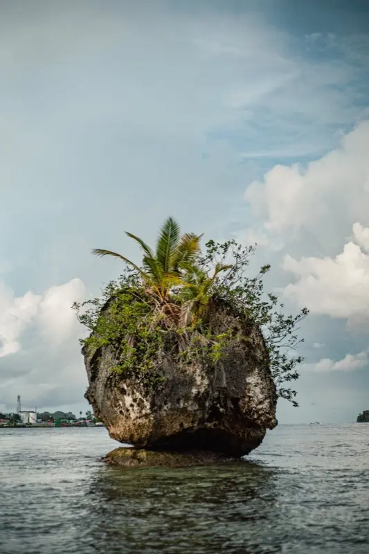 Guineea-Bissau — mobile connectivity coverage