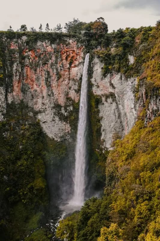 Bali — mobile connectivity coverage