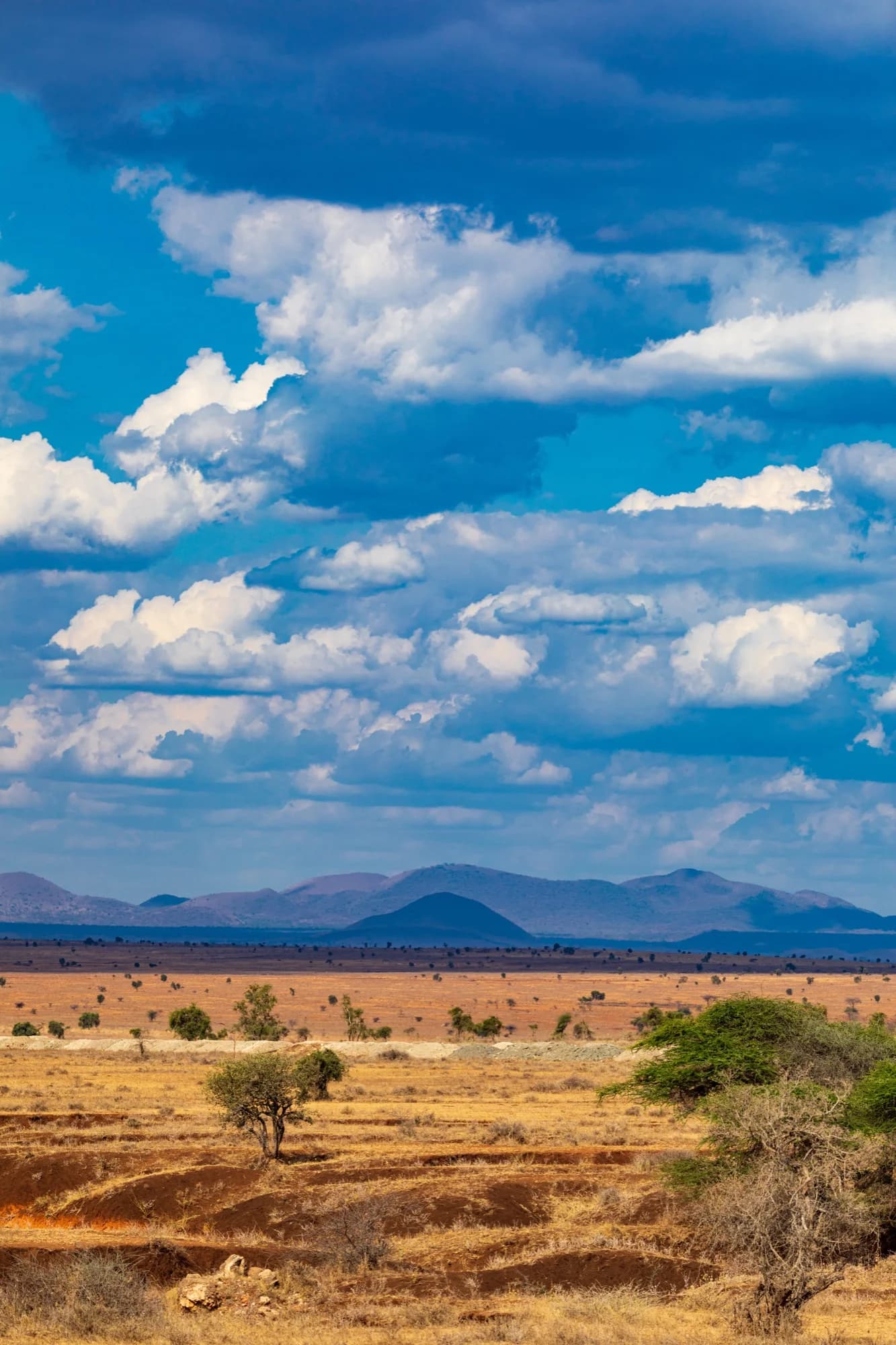 Kenya eSIM with instant activation - international travel data plans - no extra fees - 5G mobile network