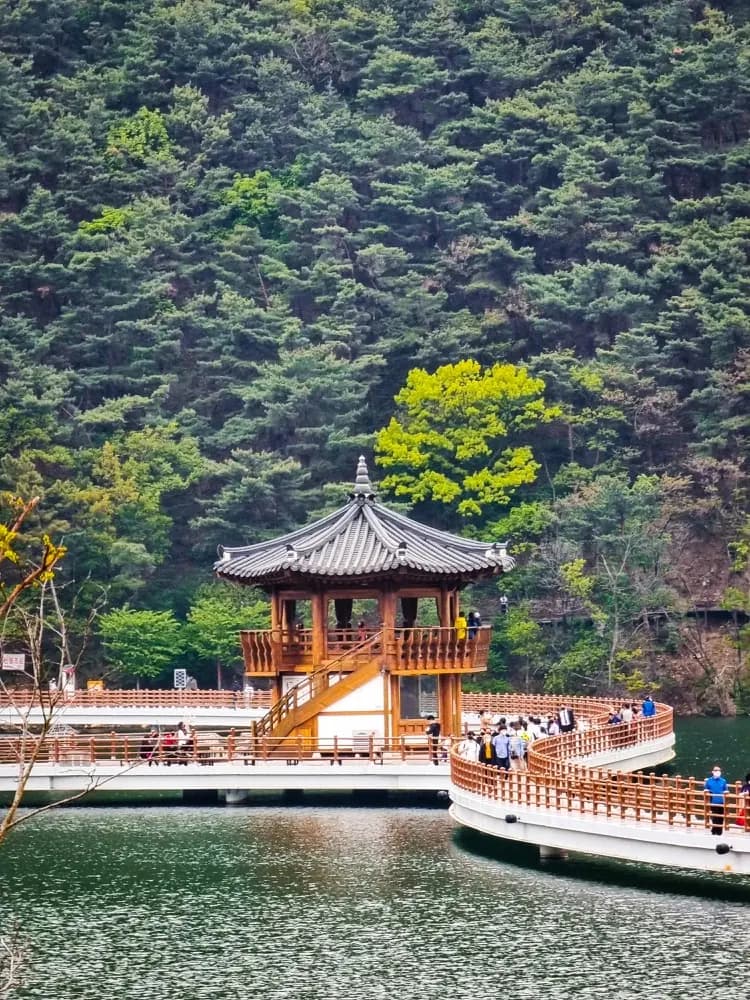 Internet mobilny w Daegu z eSIM HelloRoam na podróż po Korea Południowa