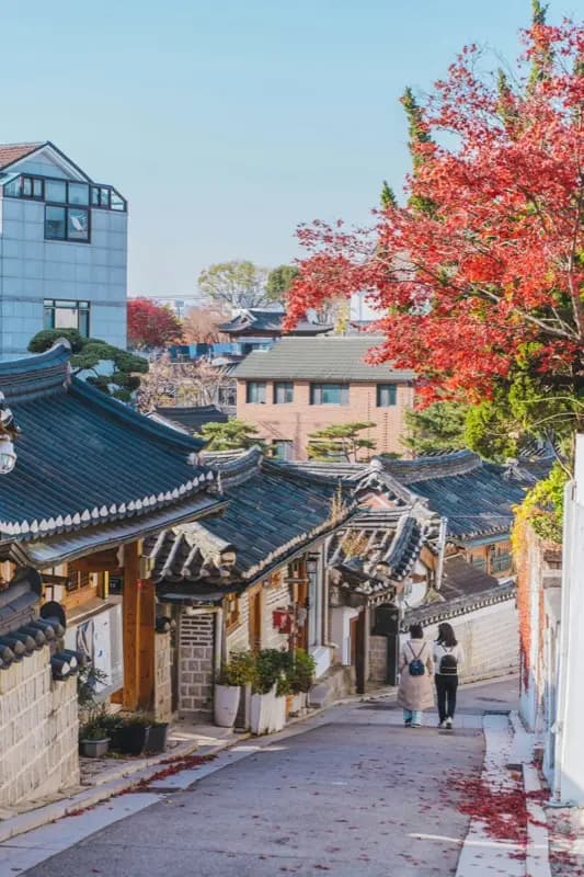 Del-Korea — HelloRoam eSIM coverage