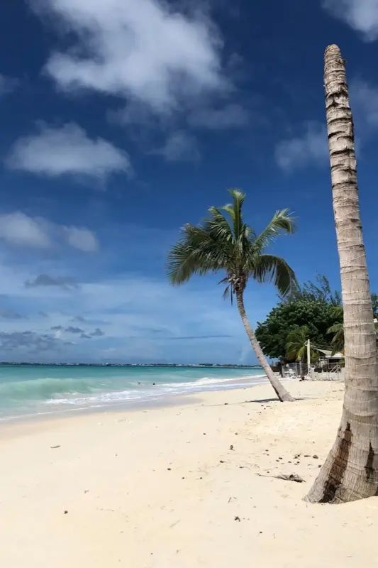 Visiwa vya Cayman — best time to visit