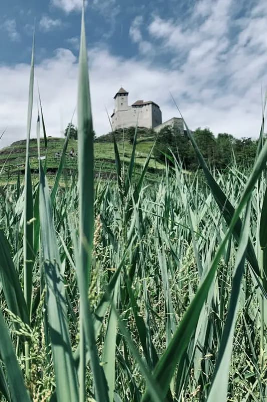 Лихтенштейн — best time to visit