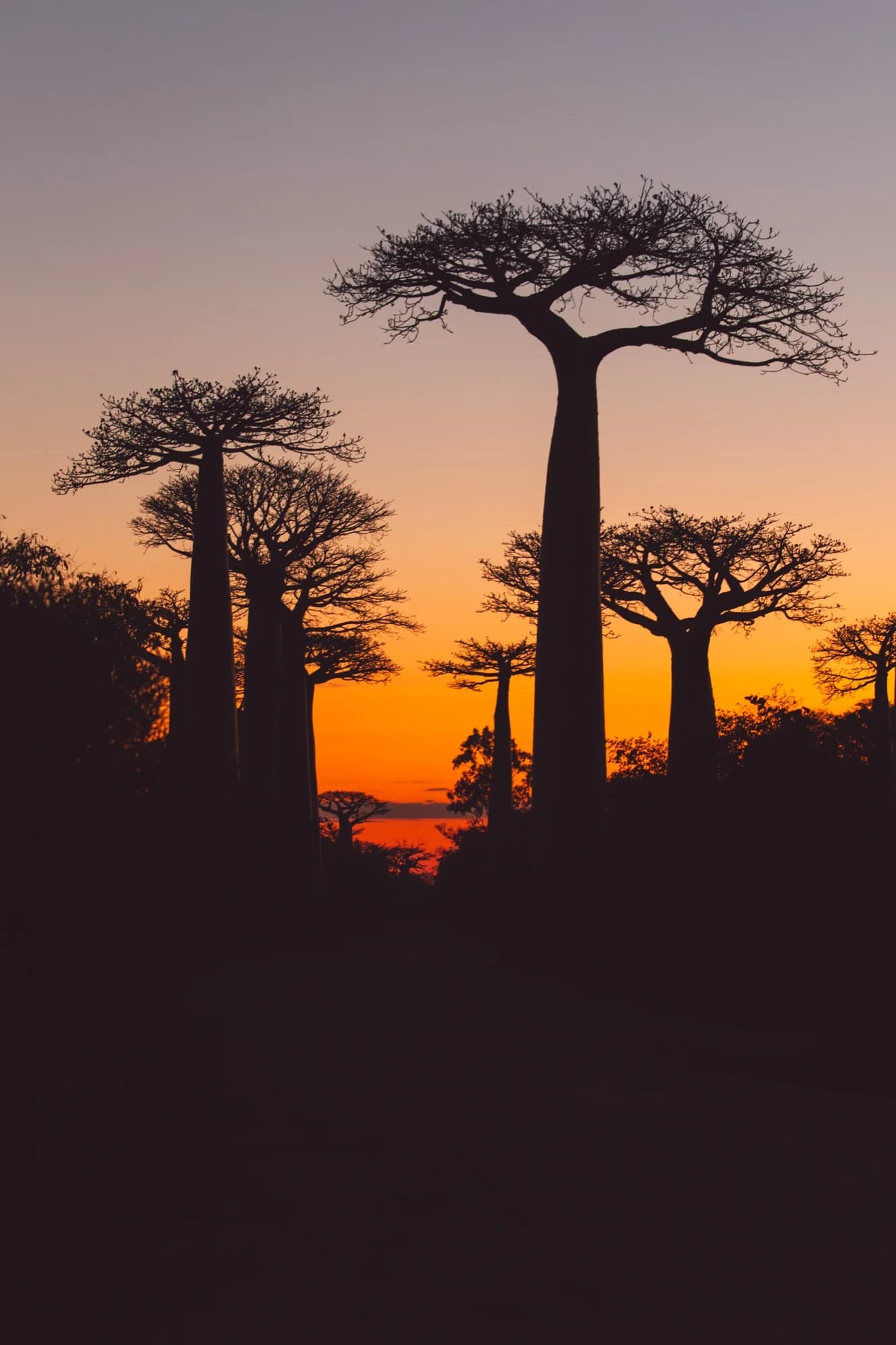 Plano eSIM para Madagascar com rede Orange 4G - dados de viagem a partir de $9.94 - sem cobranças de roaming