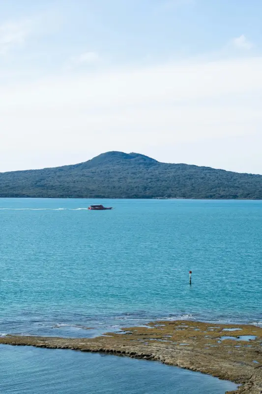 Ώκλαντ — mobile connectivity coverage