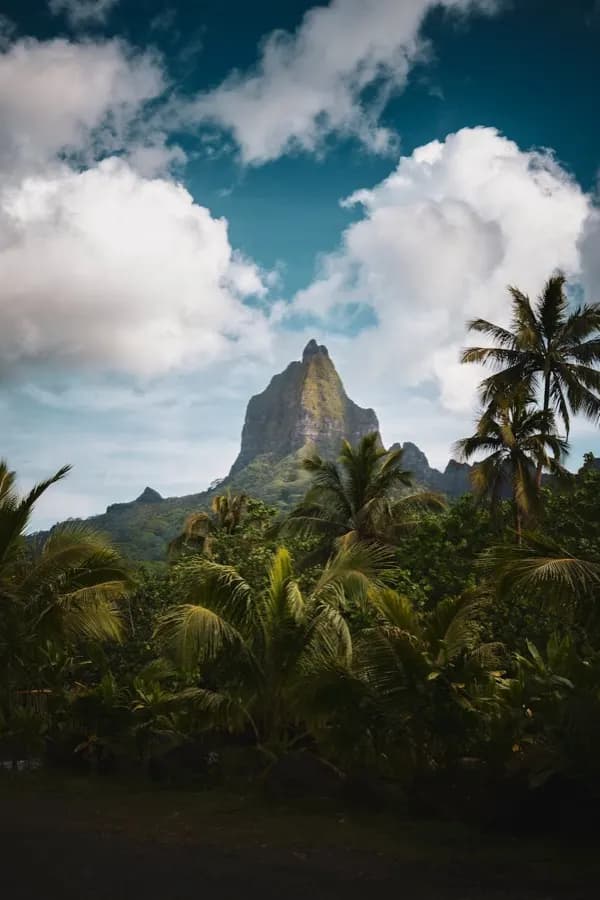 eSIM Arue Tahiti - lagūna, palmas un kalnu ainava