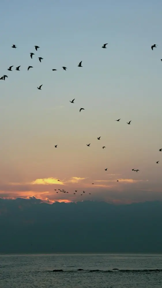 HelloRoam eSIM voor Al Khawr Qatar met mobiel internet voor reizigers