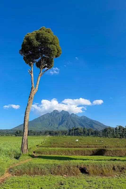 Rwanda — mobile connectivity coverage