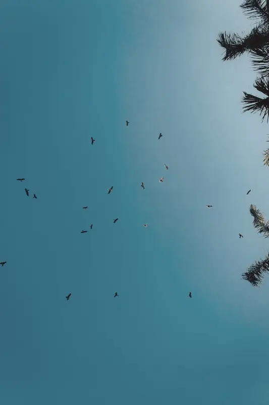 Sudaan — mobile connectivity coverage