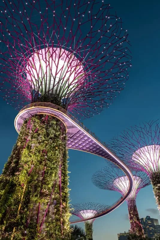 Singapore — mobile connectivity coverage