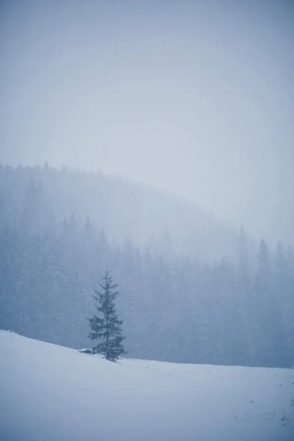 eSIM Presov Slovakia - Hlavna Street historic old town with Baroque buildings in eastern Slovakia