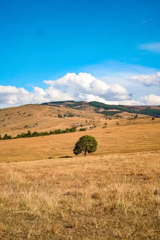Eswatini — mobile connectivity coverage