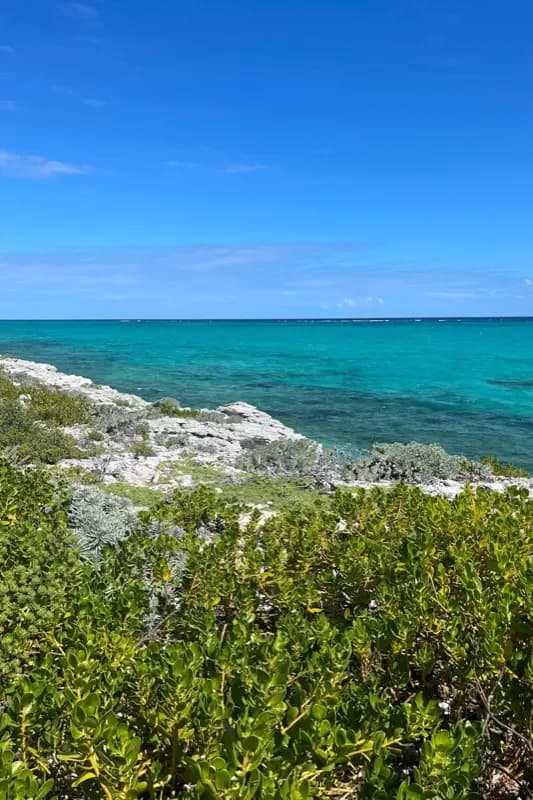 Otoci Turks i Caicos — mobile connectivity coverage
