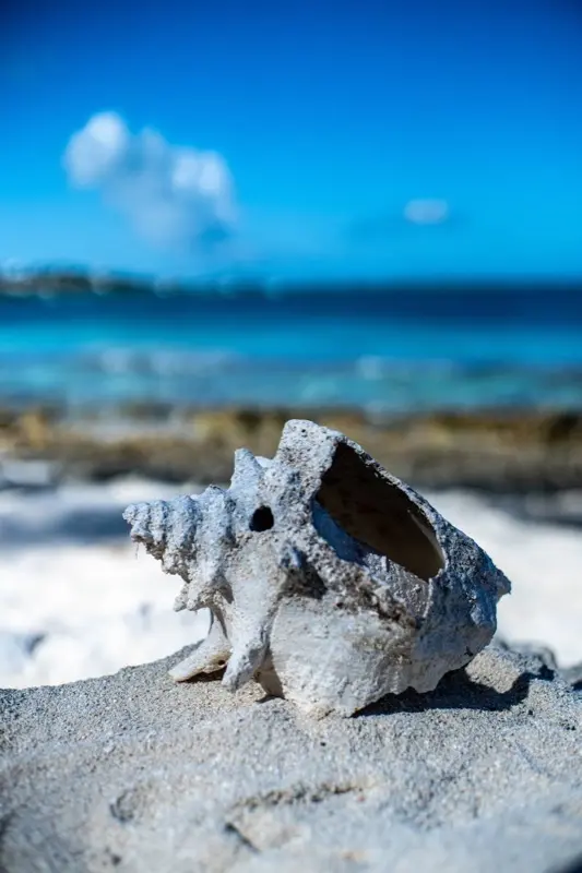 Otoci Turks i Caicos — best time to visit