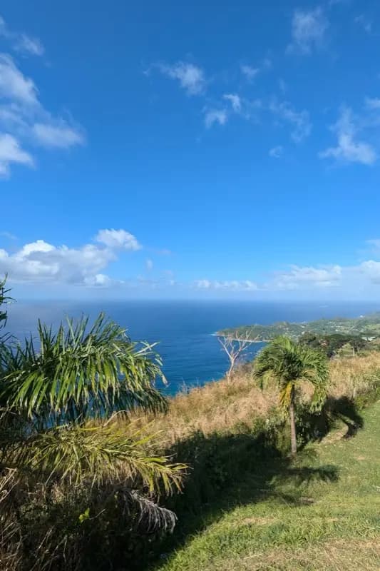 Trinidad and Tobago — mobile connectivity coverage