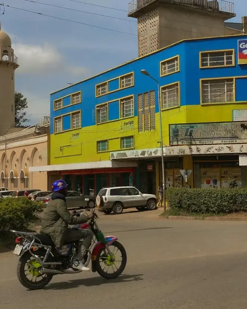 Muntele Meru din Arusha Tanzania cu peisaj verde și animale sălbatice