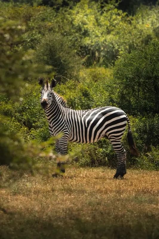 Sansibar — best time to visit