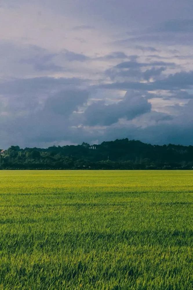 HelloRoam eSIM با اینترنت موبایل در Cn Th ویتنام