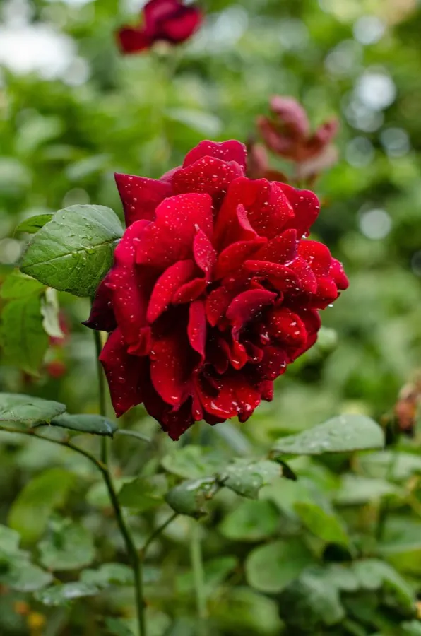 eSIM Chingola Zâmbia - cidade mineira do Copperbelt zambiano com minas de cobre ao fundo