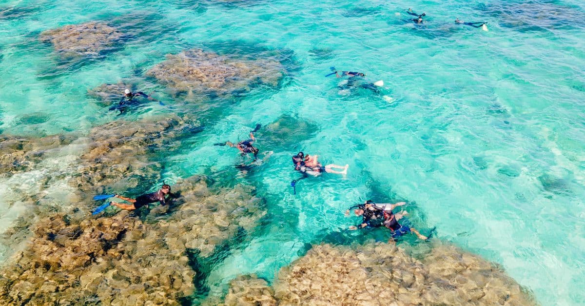 Snorkelers float above a shallow coral reef in clear turquoise water off Belize.