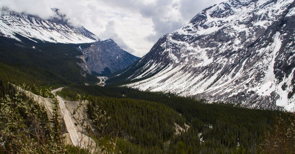 The Icefields Parkway winds through a forested valley beneath snow-covered peaks in the Canadian Rockies.