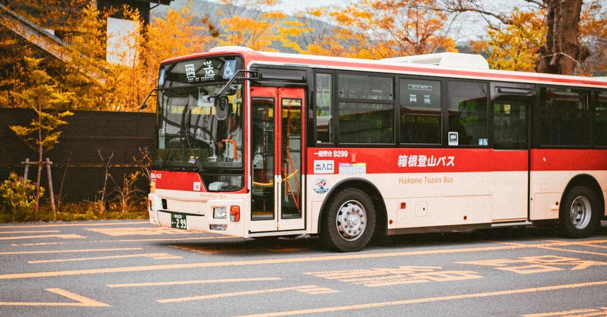 Beste Reisezeit Japan 2026: Frühling, Herbst und alle Monate im Vergleich - eSIM travel guide by HelloRoam