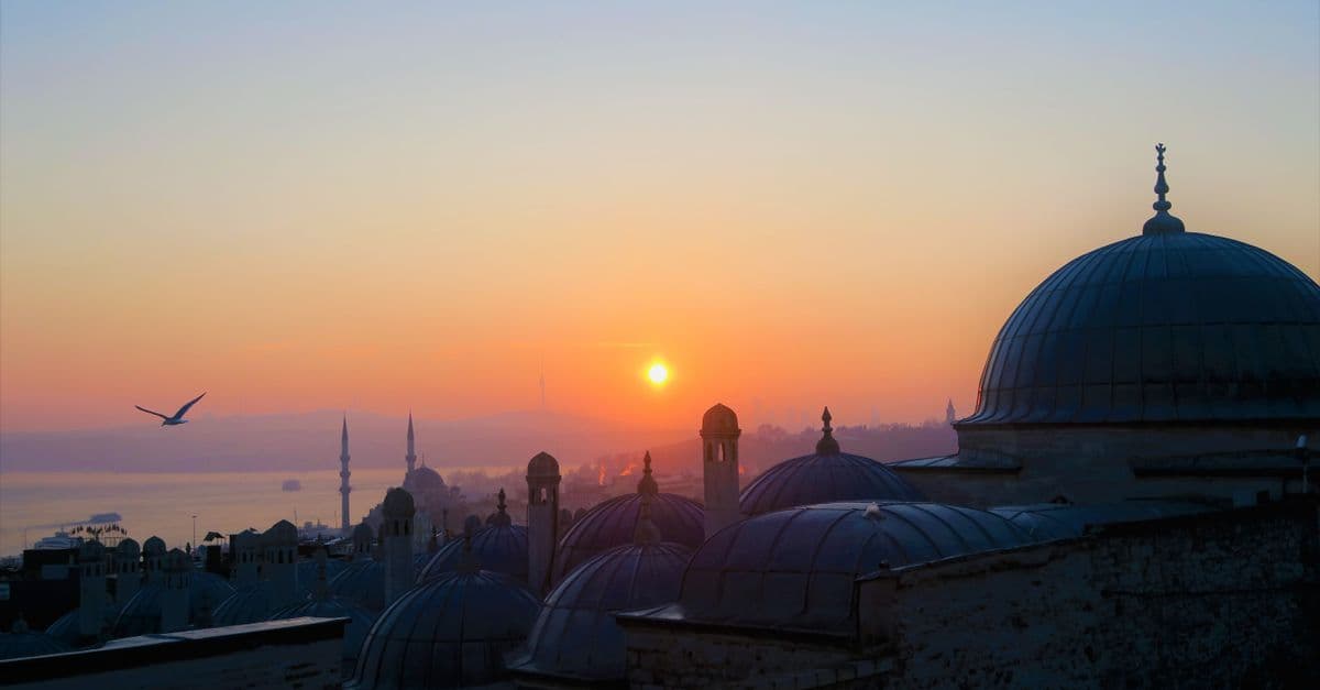 Sonnenaufgang über einer türkischen Stadt mit Moscheekuppeln, zwei Minaretten am Wasser und einer Möwe im Flug.