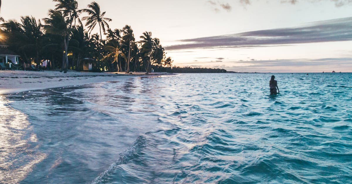 Silhouette sur une plage paisible de Punta Cana au crépuscule, évoquant l'observation des baleines à Samaná