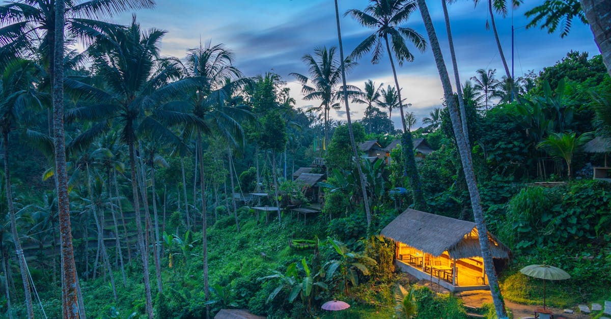 Meilleure période pour aller à Bali : guide complet 2026 - eSIM travel guide by HelloRoam