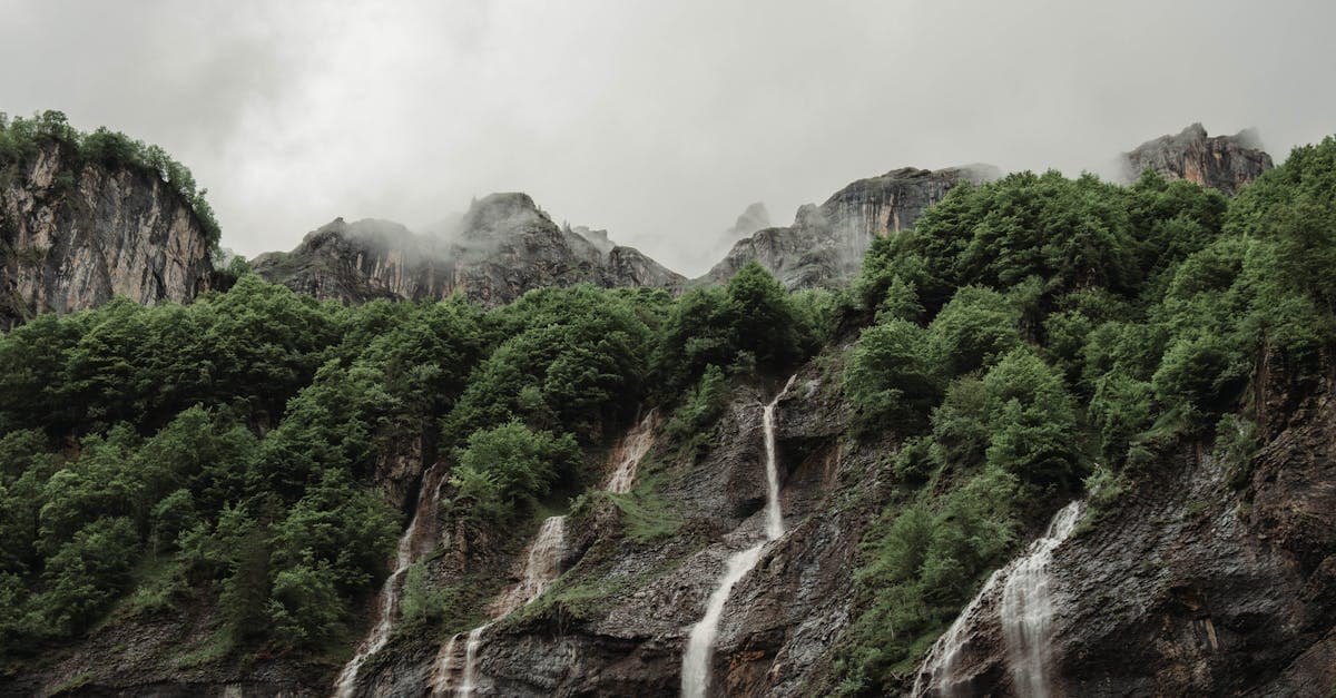 Cascade verdoyante sous des pluies tropicales à Bali révélant la réalité cachée de la saison humide