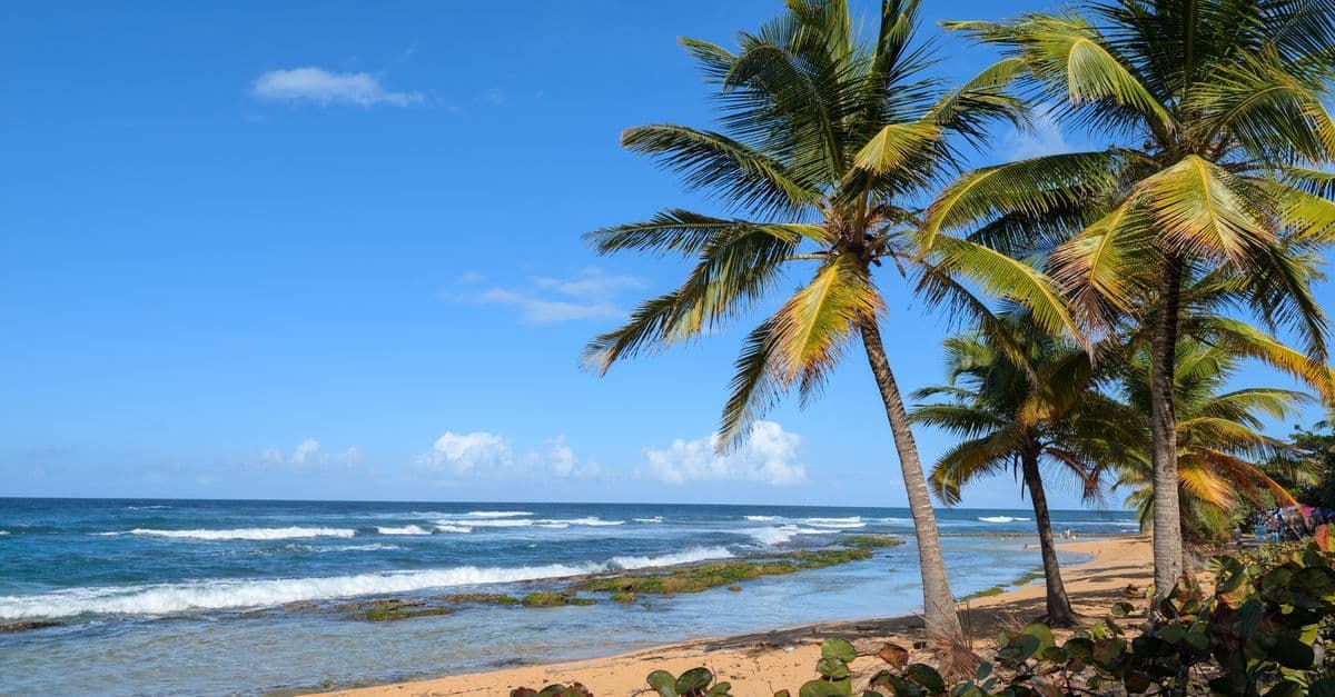 Serene Puerto Rico beach with swaying palm trees and gentle ocean waves under a clear blue sky